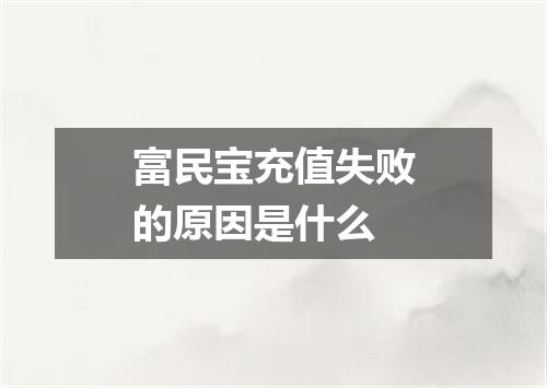 富民宝充值失败的原因是什么