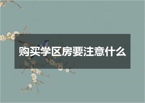 购买学区房要注意什么