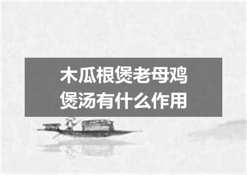 木瓜根煲老母鸡煲汤有什么作用