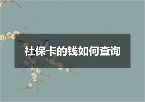 社保卡的钱如何查询