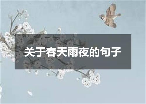 关于春天雨夜的句子
