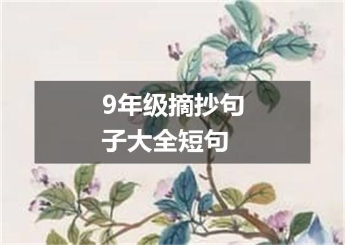 9年级摘抄句子大全短句