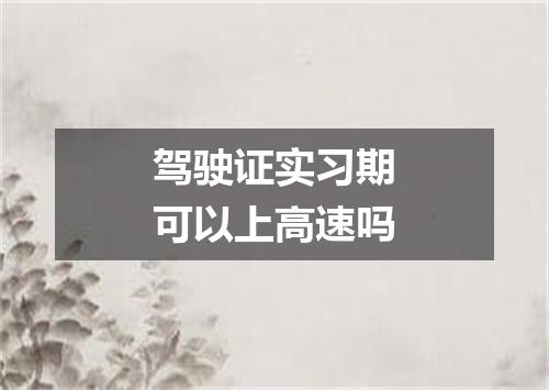 驾驶证实习期可以上高速吗