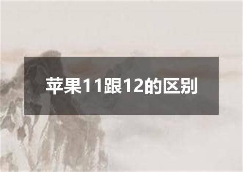 苹果11跟12的区别