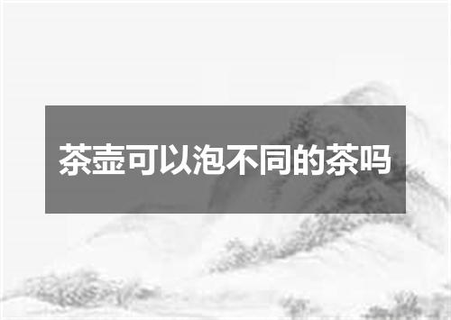 茶壶可以泡不同的茶吗