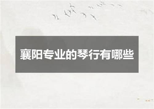 襄阳专业的琴行有哪些