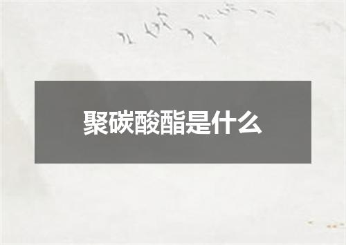 聚碳酸酯是什么