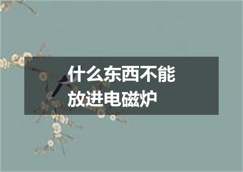 什么东西不能放进电磁炉