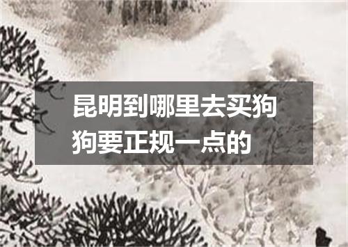 昆明到哪里去买狗狗要正规一点的