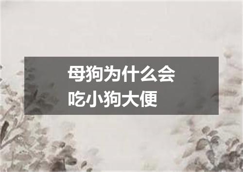 母狗为什么会吃小狗大便