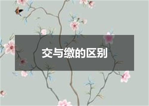 交与缴的区别