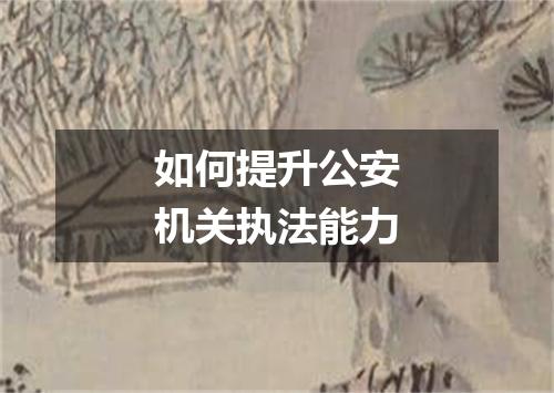 如何提升公安机关执法能力