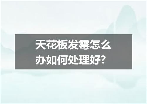 天花板发霉怎么办如何处理好?