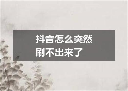 抖音怎么突然刷不出来了