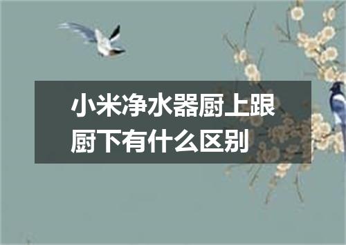 小米净水器厨上跟厨下有什么区别