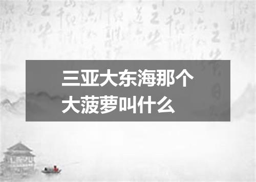 三亚大东海那个大菠萝叫什么
