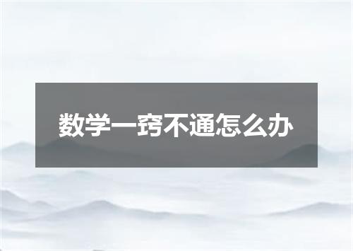 数学一窍不通怎么办