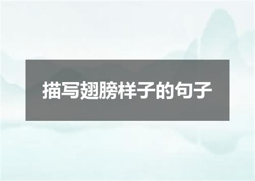 描写翅膀样子的句子