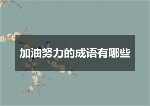 加油努力的成语有哪些