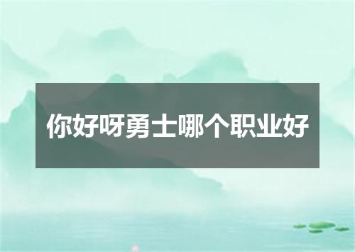 你好呀勇士哪个职业好