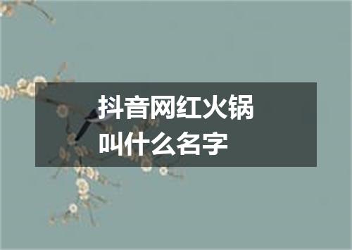 抖音网红火锅叫什么名字