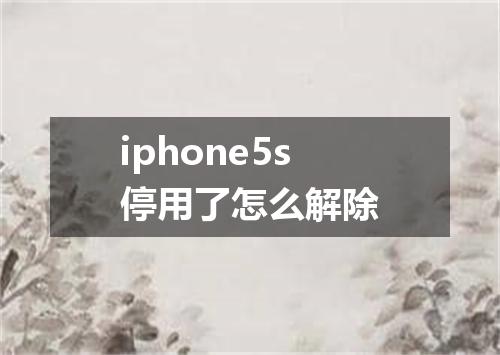 iphone5s停用了怎么解除