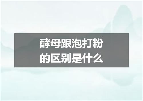 酵母跟泡打粉的区别是什么