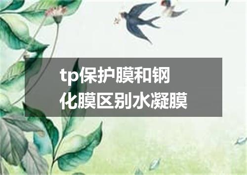 tp保护膜和钢化膜区别水凝膜