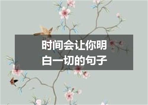 时间会让你明白一切的句子