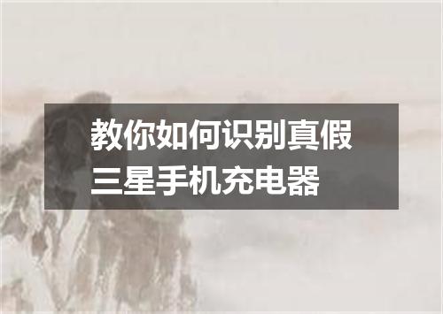教你如何识别真假三星手机充电器