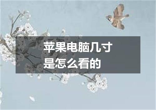 苹果电脑几寸是怎么看的