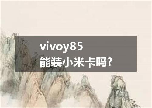 vivoy85能装小米卡吗?