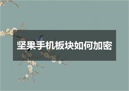 坚果手机板块如何加密