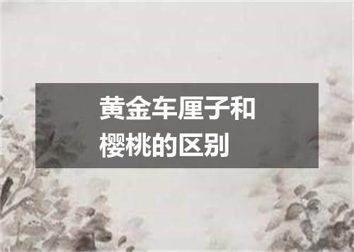 黄金车厘子和樱桃的区别