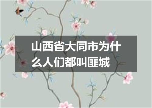 山西省大同市为什么人们都叫匪城