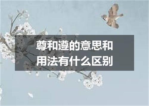 尊和遵的意思和用法有什么区别