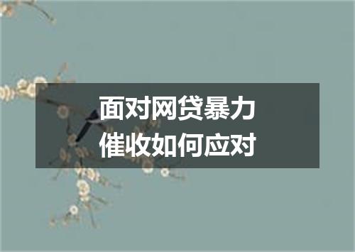 面对网贷暴力催收如何应对