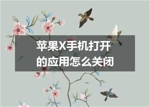 苹果X手机打开的应用怎么关闭