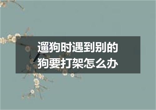 遛狗时遇到别的狗要打架怎么办