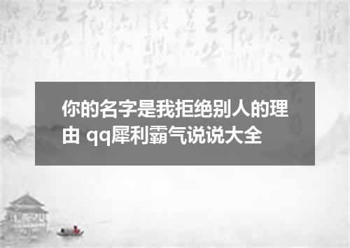 你的名字是我拒绝别人的理由 qq犀利霸气说说大全
