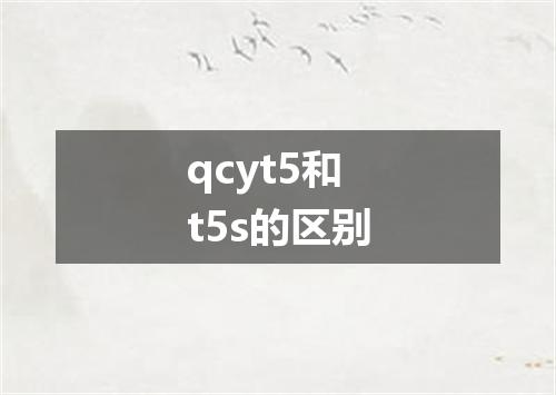 qcyt5和t5s的区别