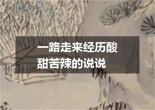 一路走来经历酸甜苦辣的说说