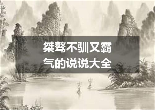 桀骜不驯又霸气的说说大全