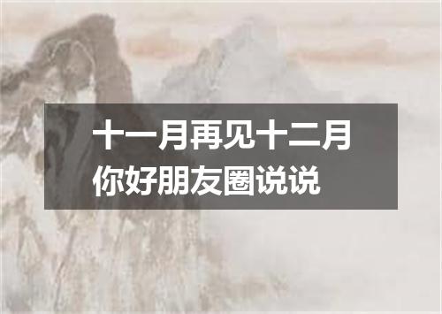 十一月再见十二月你好朋友圈说说
