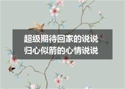 超级期待回家的说说 归心似箭的心情说说