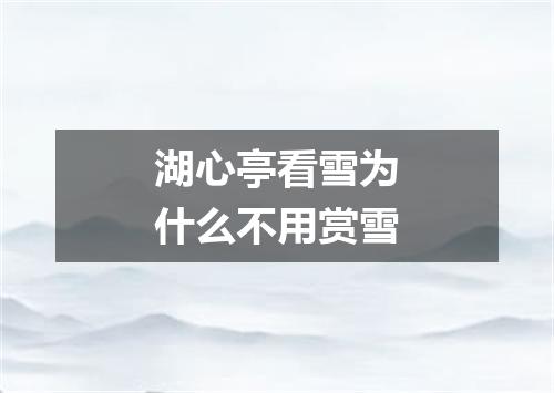 湖心亭看雪为什么不用赏雪