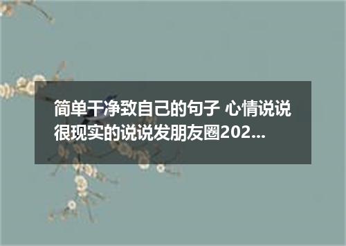 简单干净致自己的句子 心情说说很现实的说说发朋友圈2022