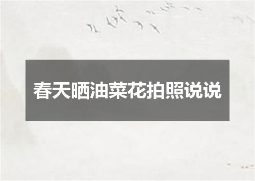 春天晒油菜花拍照说说