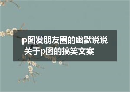 p图发朋友圈的幽默说说 关于p图的搞笑文案