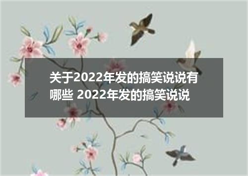 关于2022年发的搞笑说说有哪些 2022年发的搞笑说说